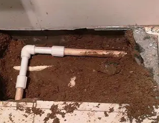 营口测漏水哪家好