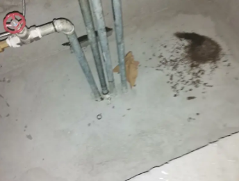 营口卫生间测漏水价格明细